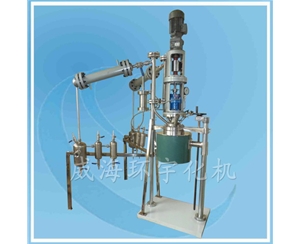 上海5L反應裝置