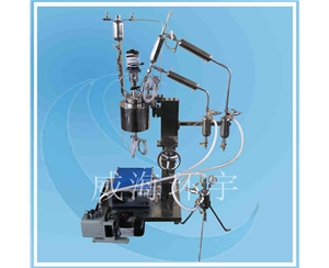 上海0.5L酯化反應(yīng)釜帶升降和等壓加料罐