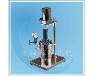 上海GSA型實驗高壓反應(yīng)釜