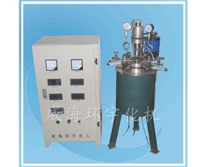 上海PID控制反應(yīng)釜
