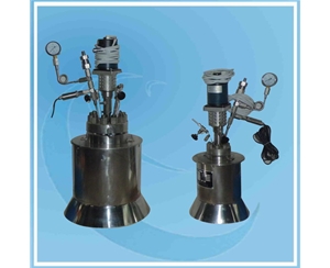 上海哈氏合金反應釜