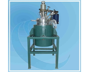 上海5L反應釜304襯C-276