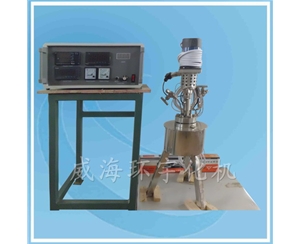 上海0.1L反應釜C-276
