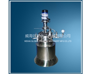 上海1L高溫高壓反應釜