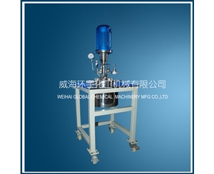 上海1L實驗室不銹鋼反應釜