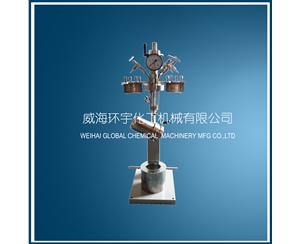 上海mini快開升降反應釜