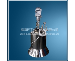 上海50ml耐高溫高壓不銹鋼反應釜