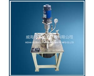 上海1L實驗室反應釜