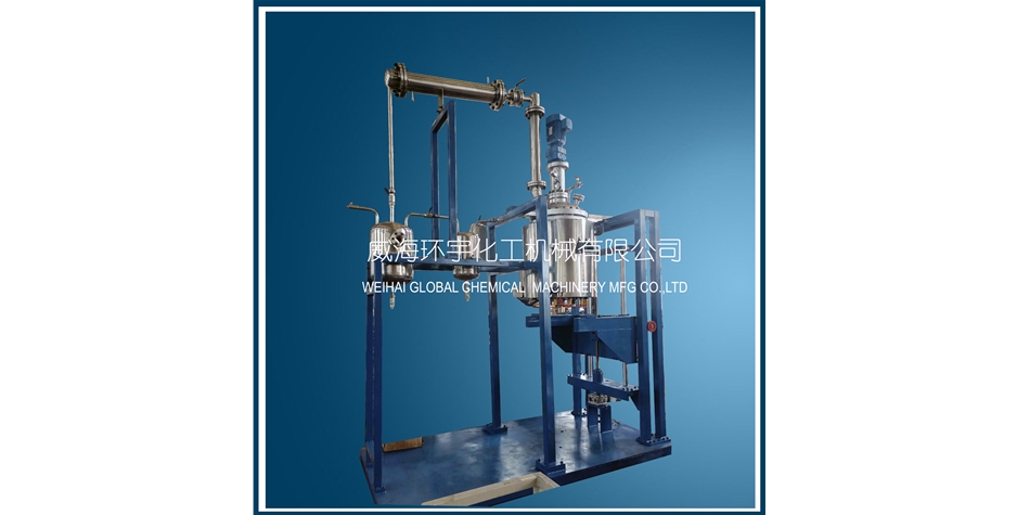 上海100L電動升降反應釜